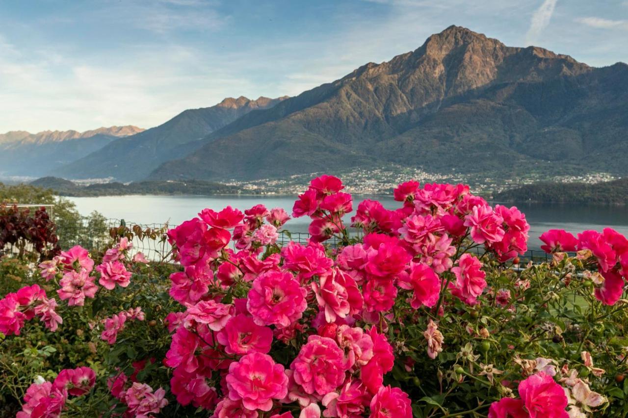 La Collina Dei Fiori Lejlighed Vercana Eksteriør billede